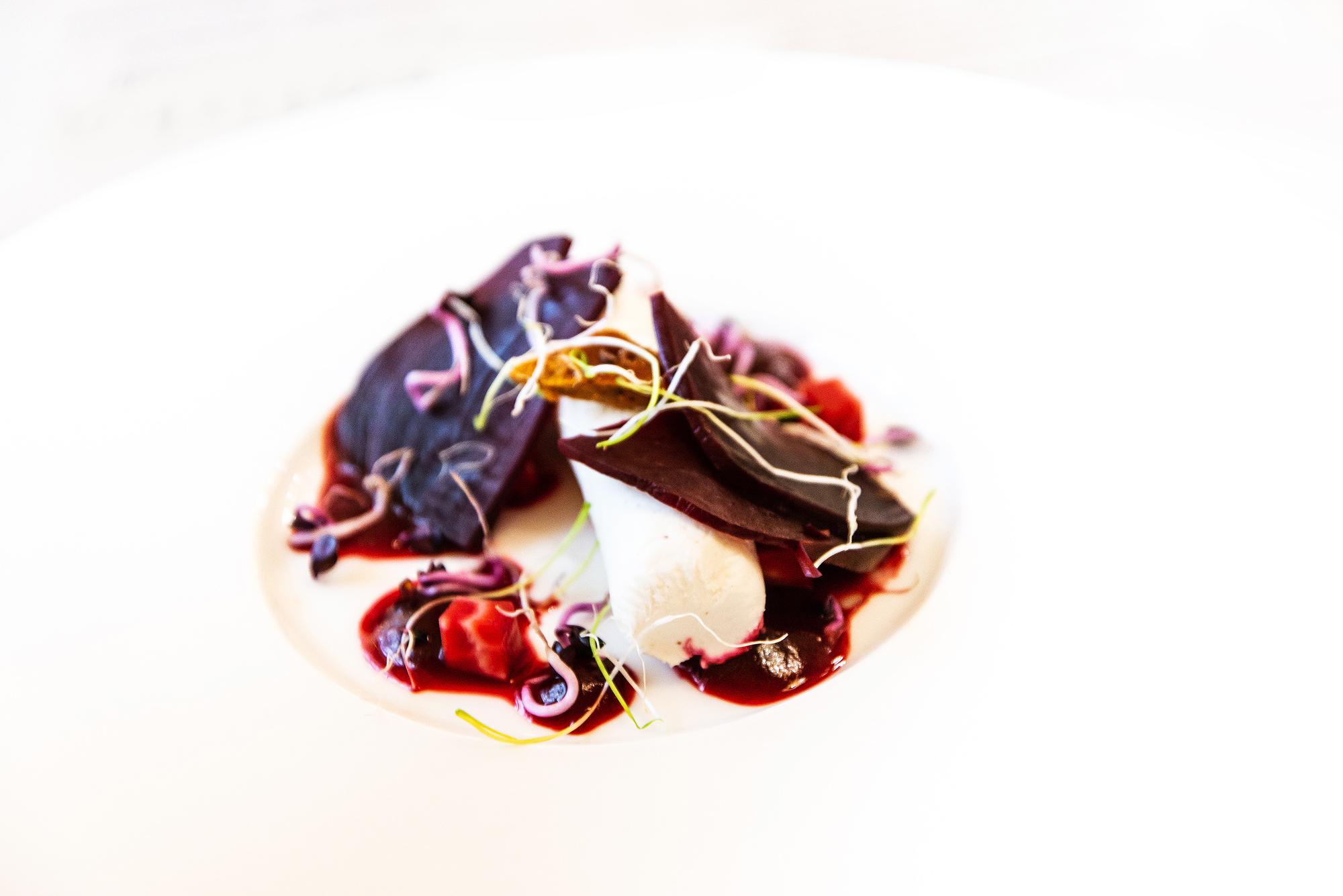 Close-up plated dinner with neon plating accents